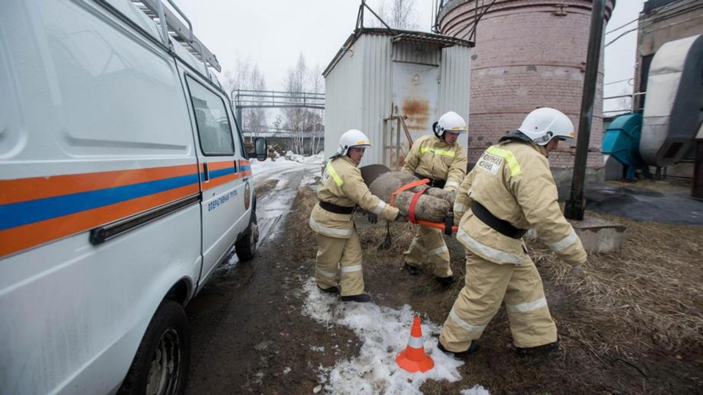 В Тверской области при аварии в котельной двое пострадали от ожогов