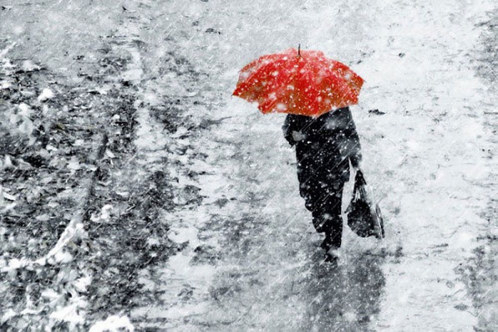 МЧС предупреждает: Тверскую область сутки будет заваливать мокрым снегом 