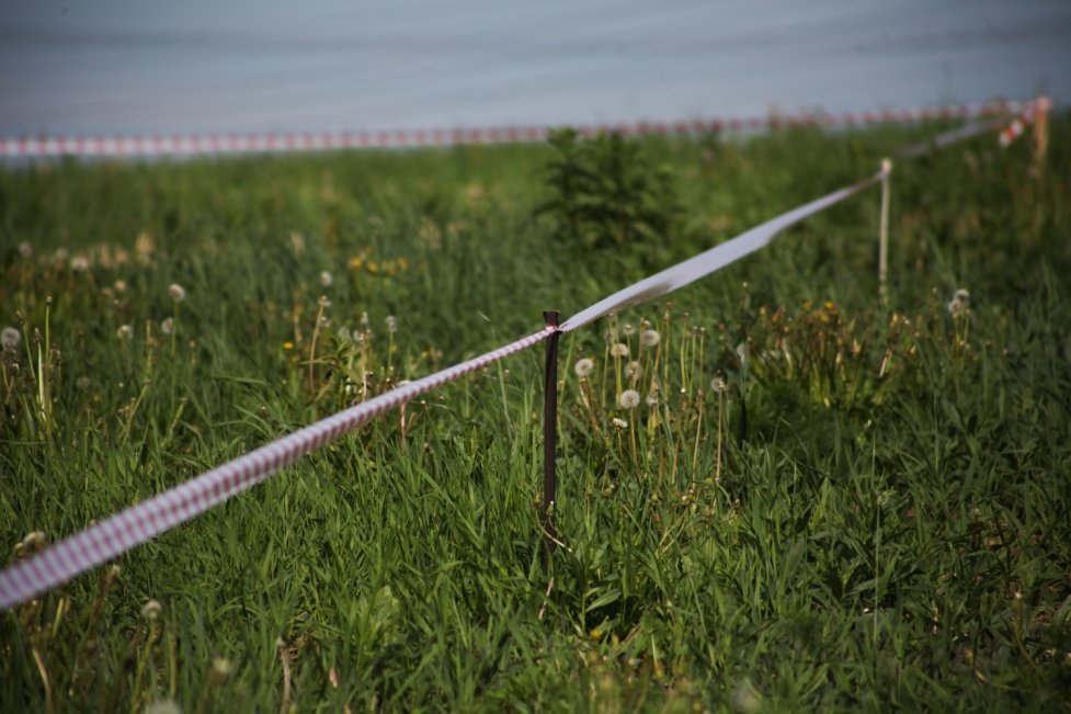 В Твери осудят предприимчивых москвичей, которые завладели землёй под трассу М-11
