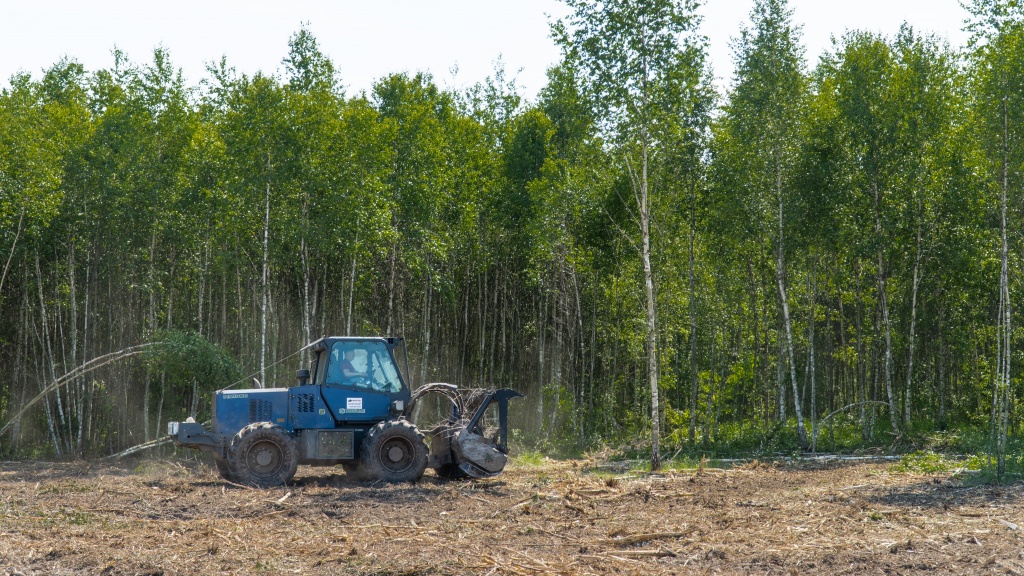 В Тверской области вернули в оборот почти 1000 га сельхозземель