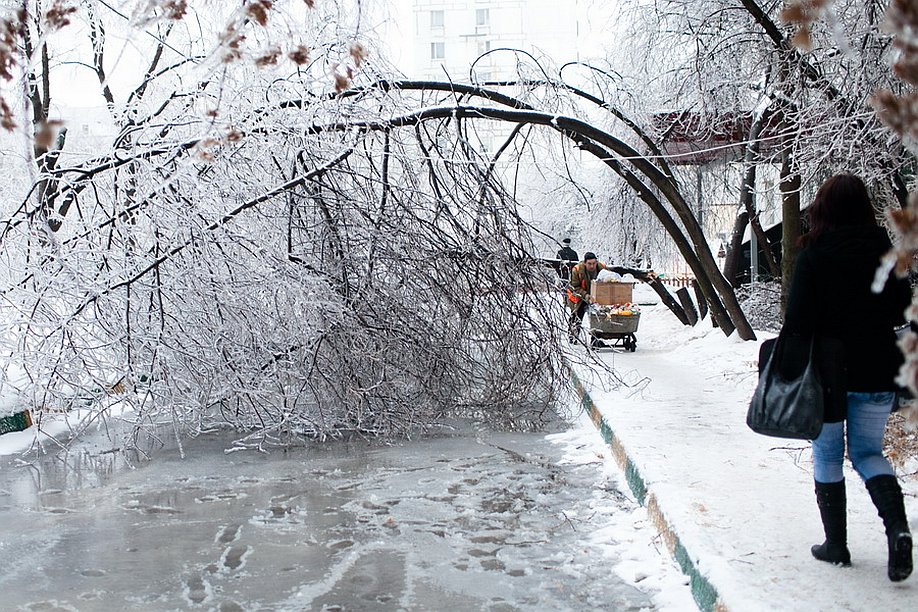 В Твери сегодня лёд будет на дорогах, проводах и деревьях