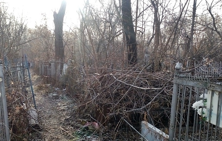 В Кашинском городском округе порядок на кладбищах обеспечит «смотрящее» МКУ