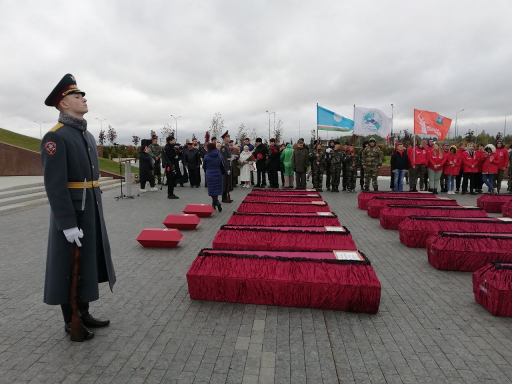 В Тверской области в ходе проекта «Ржев. Калининский фронт» нашли останки 483 солдат