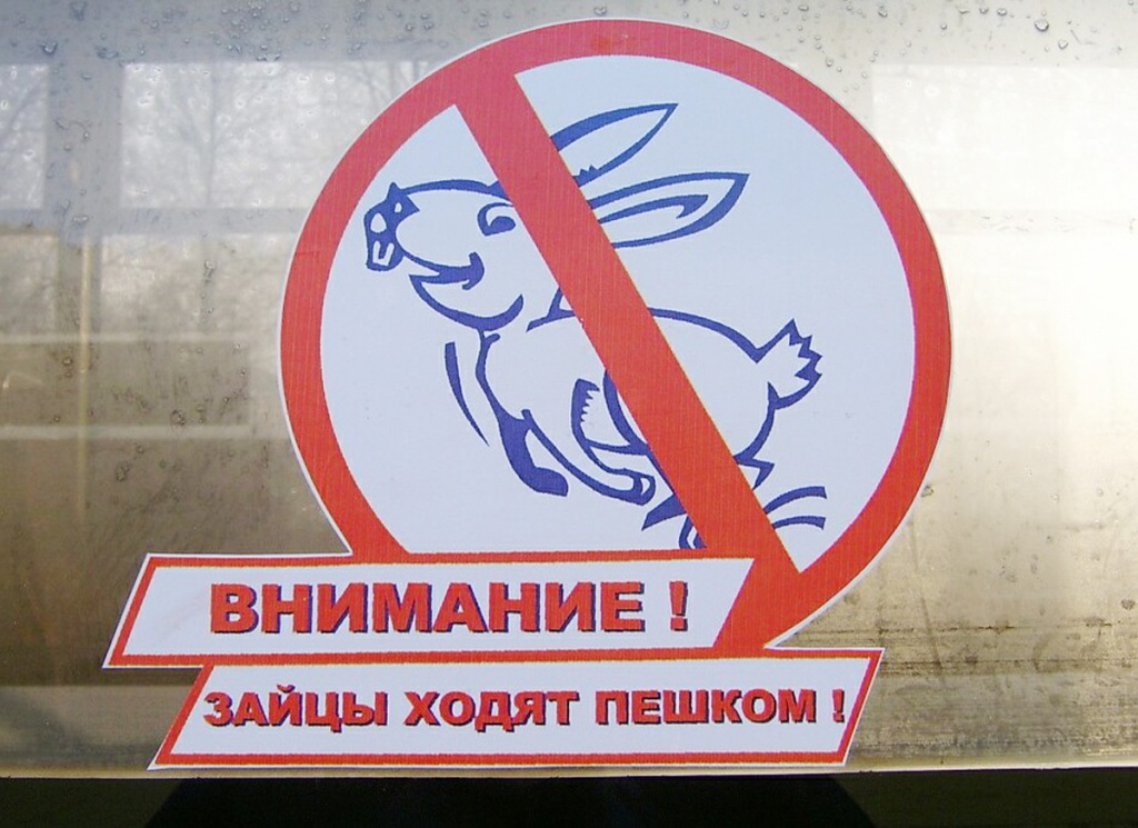 В Тверской области в синих автобусах начнут тотальную охоту за «зайцами»
