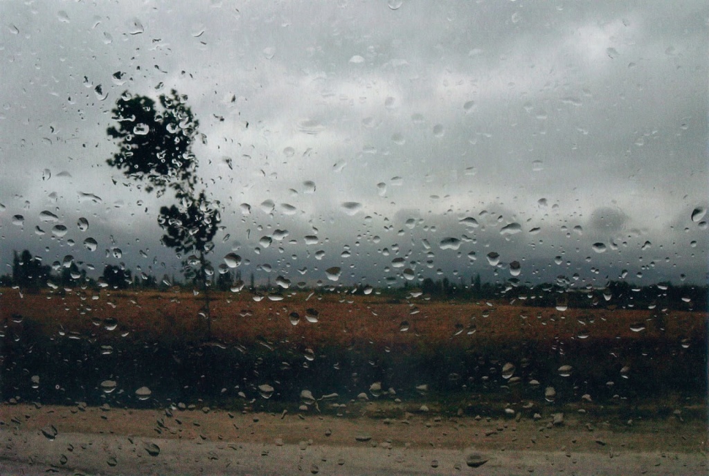 В Твери наступает мокрая неделя: прогнозируют ливни, ливни и небольшие дожди