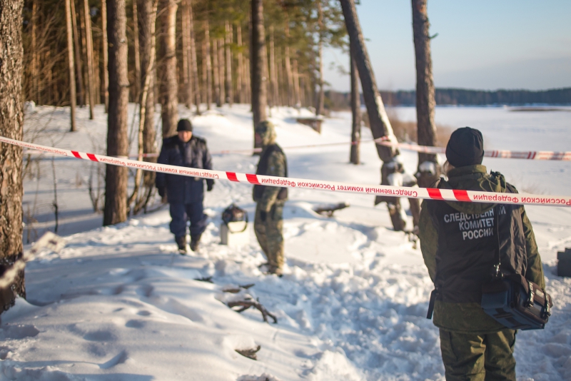 В Тверской области под Рамешками в лесу обнаружены человеческие кости