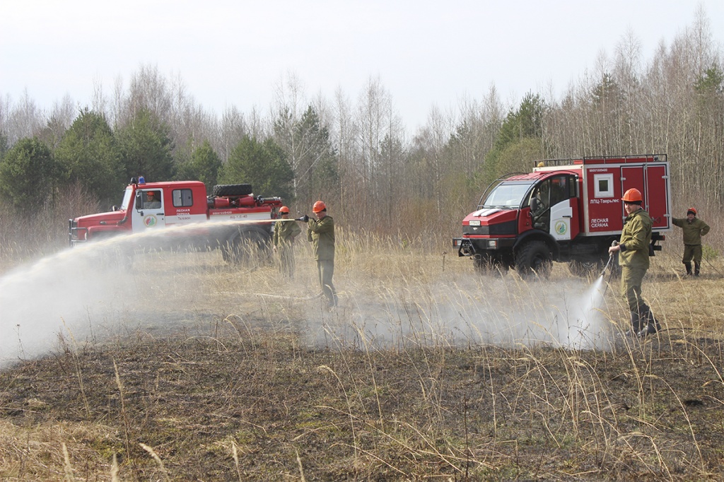 В Тверской области за два года закупили 300 машин лесотехники