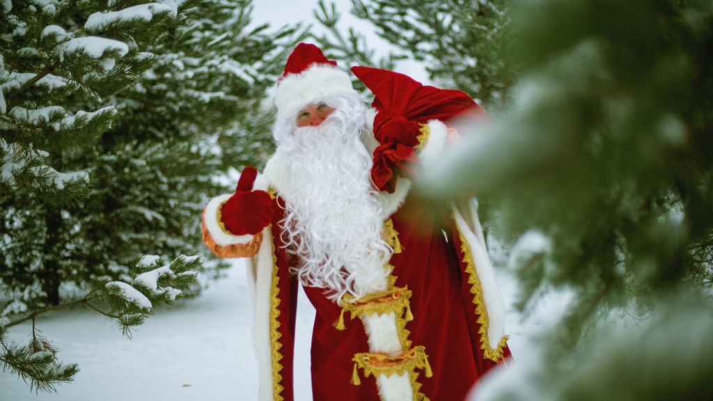 В Твери вакансия Деда Мороза попала в топ-10 ведущего онлайн-рекрутера
