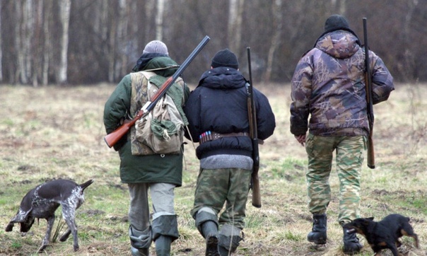 В Тверской области минприроды пресекает охотничьи нарушения