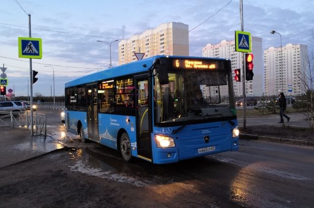 В Твери синие автобусы за зиму перевезли 18,5 млн пассажиров