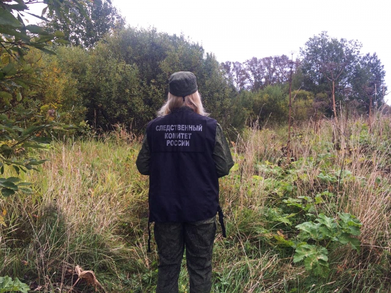 В Тверской области грибники нашли истлевший труп мужчины