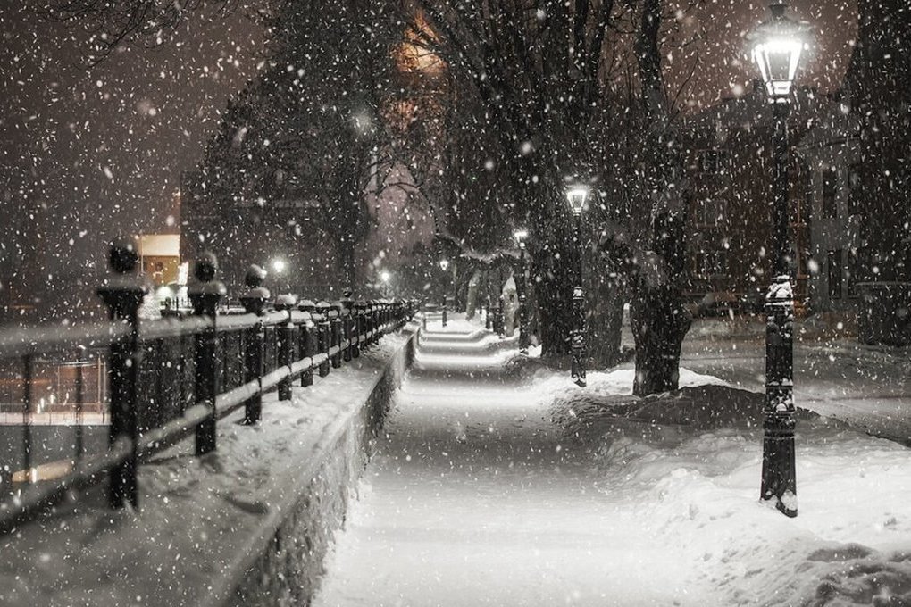 В Тверской области синоптики обещают снежный вторник