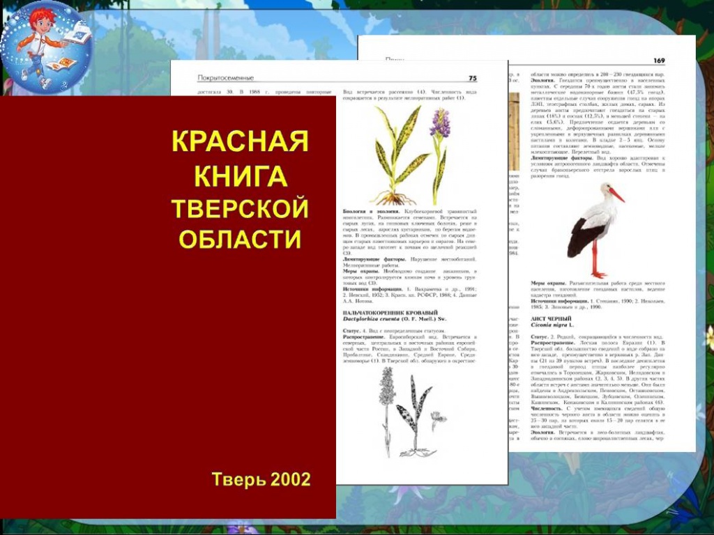 В Тверской области выйдет третье издание региональной Красной книги