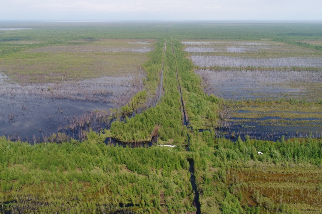 В Тверской области уберегли от пожара 12 тыс гектаров торфяников 