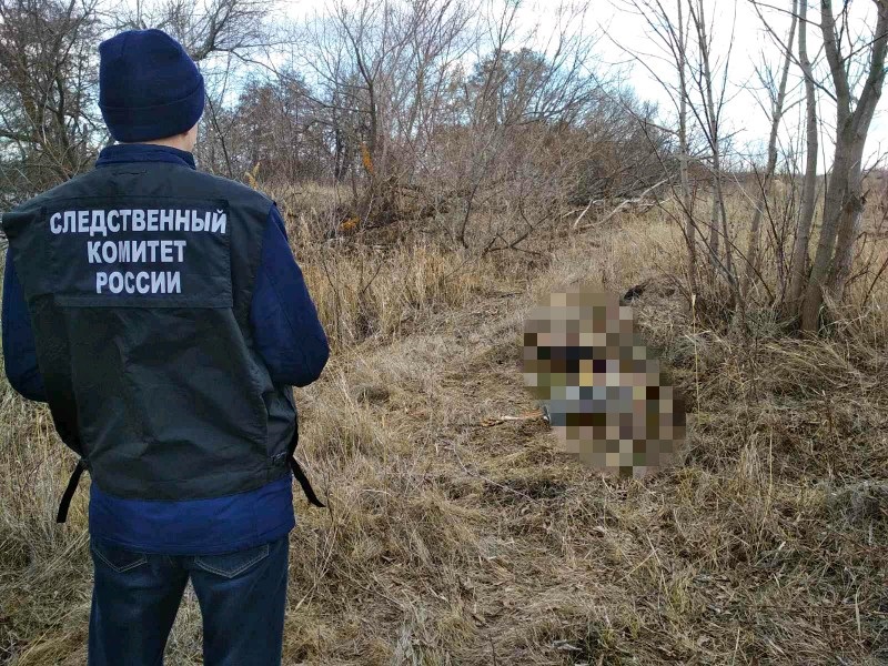 В Тверской области нашли скелет человека