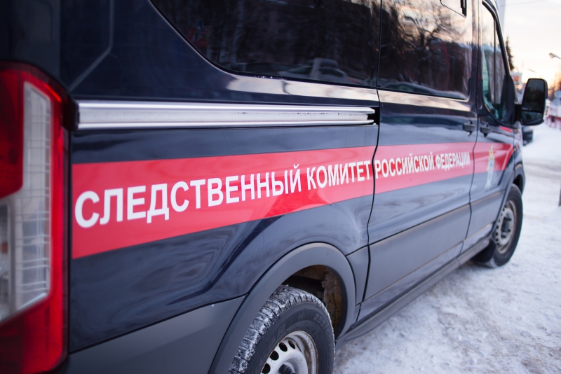 В Тверской области СК проверяет информацию о появлении собачьей стаи возле школы в Вышнем Волочке