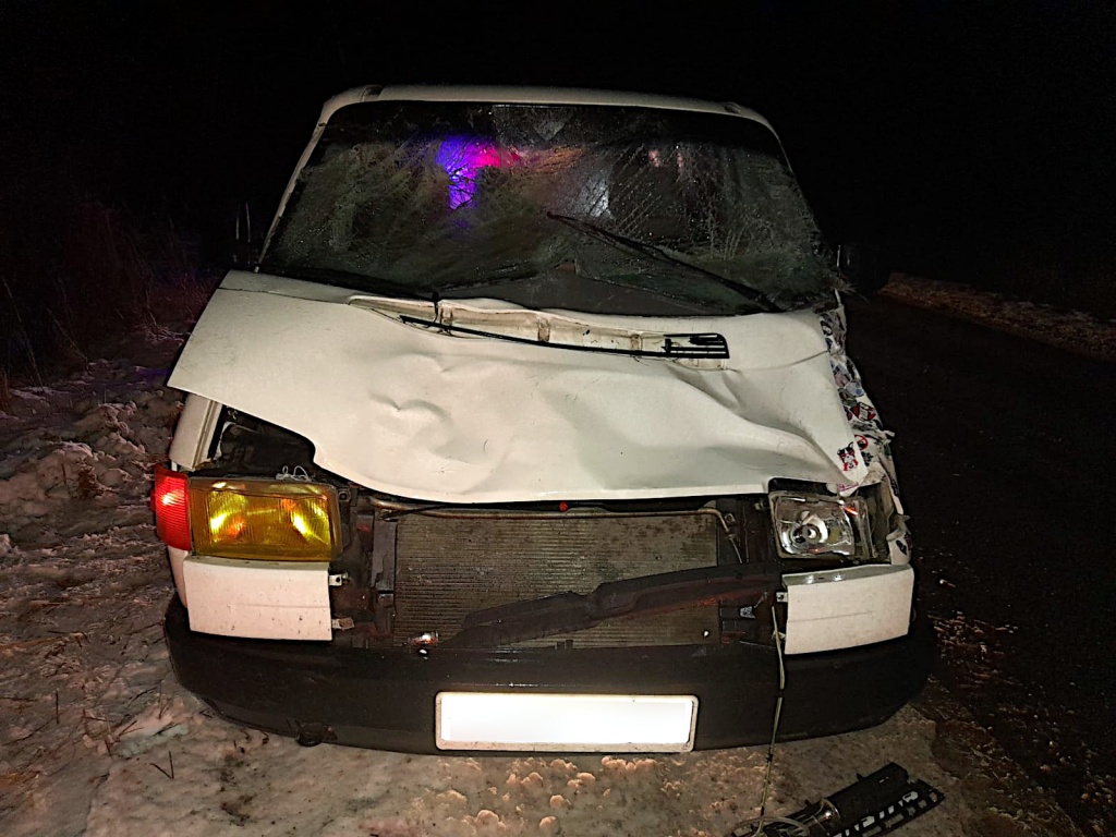 В Тверской области пассажирка авто в ДТП порезала руки из-за лося