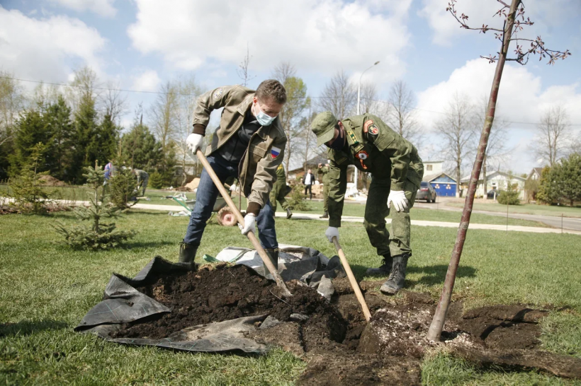 В Тверской области высадили 3,5 млн деревьев в рамках акции «Сад памяти»