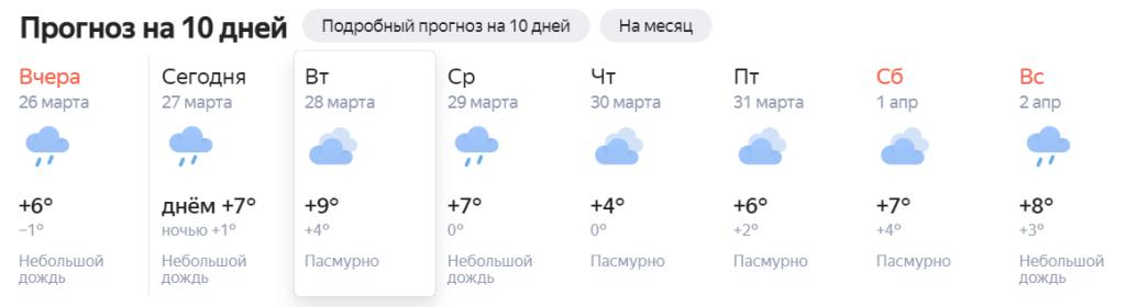 В Твери на предстоящей неделе будет тепло и несколько дождливо