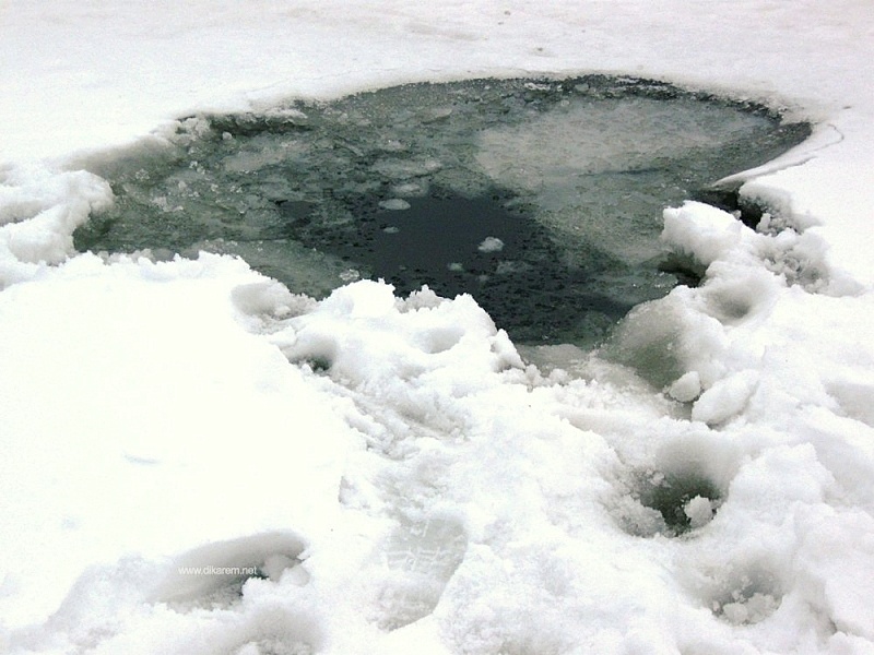 В Тверской области ГИМС просит людей не выходить на лед