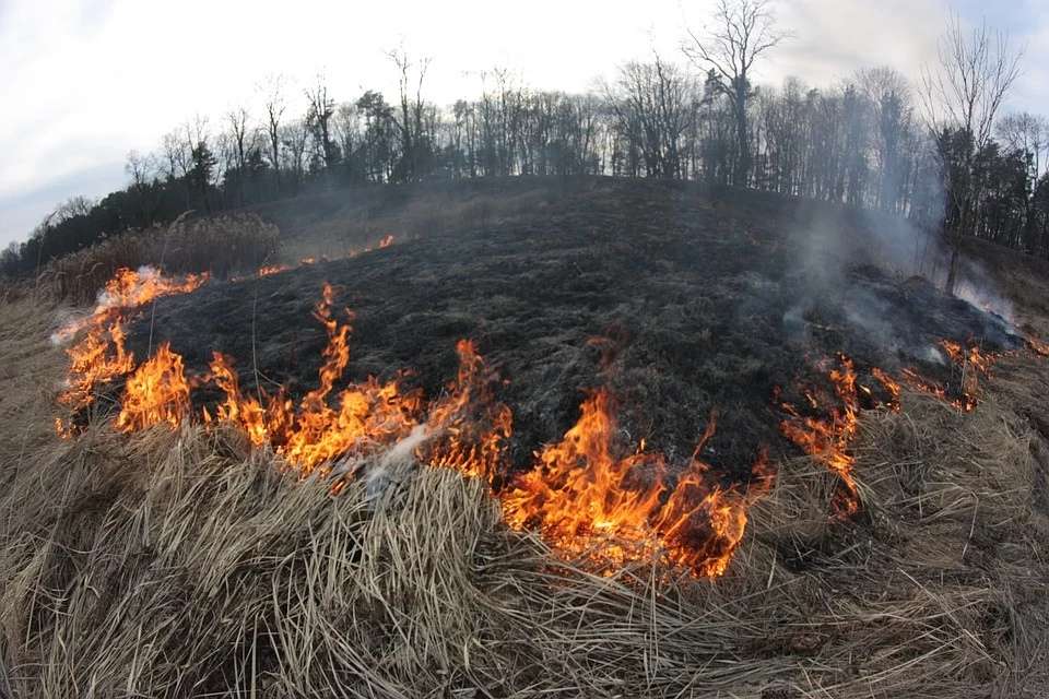 В Тверской области пожарные тушили траву уже почти 500 раз.jpg