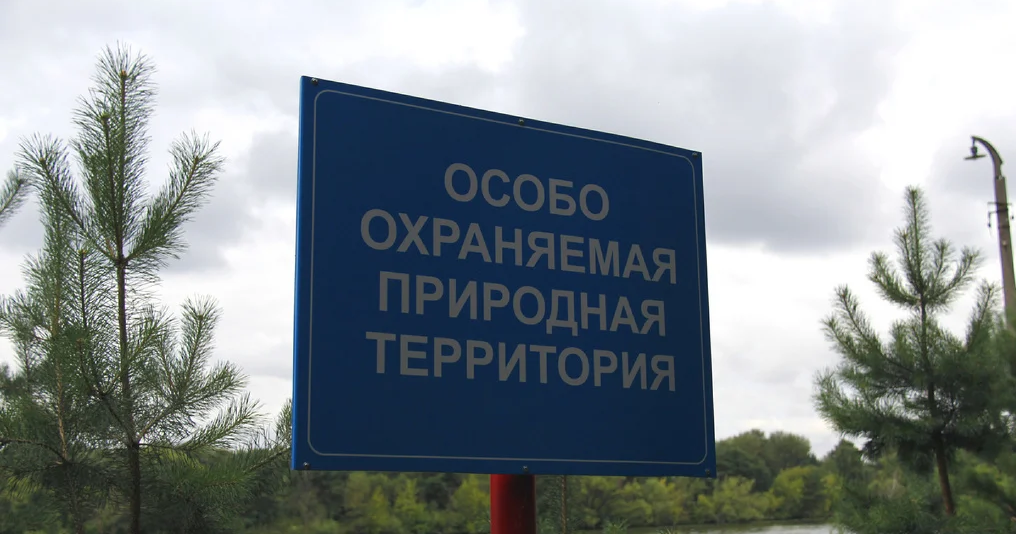 В Тверской области появилось 12 новых охраняемых природных объектов