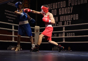 В Тверскую область на первенство по боксу приехали 300 сильнейших спортсменов страны