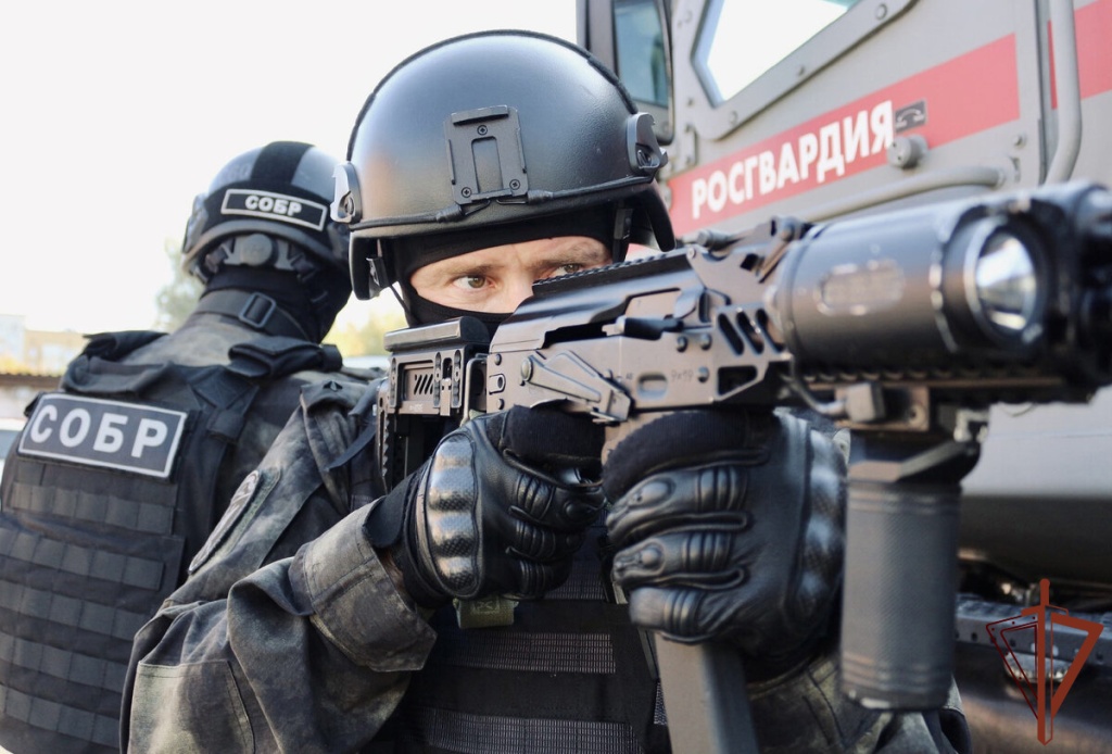 В Росгвардии сообщили подробности сегодняшнего задержания в Тверской области
