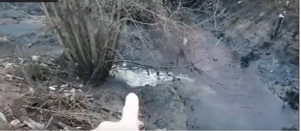 Ручей Соминка в Твери стал канализационным